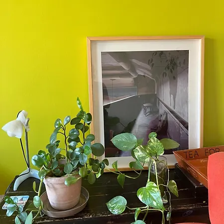 Apartment Historical In Galata